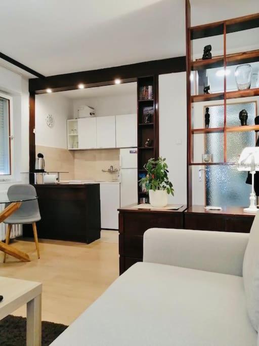 Ferienwohnung Dorcol Hideaway Belgrad Exterior foto